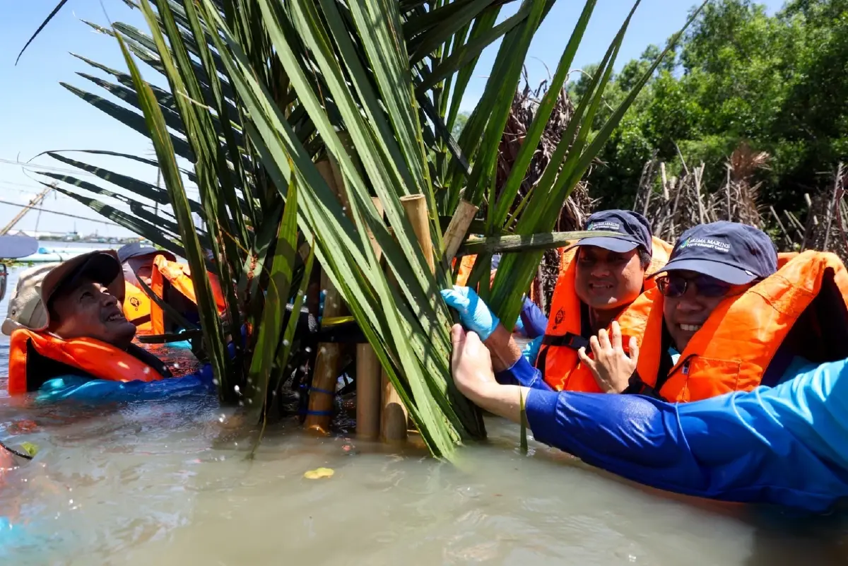 บ้านปลา คอนโดปู ความหวังและความยั่งยืนของชายฝั่งบางปะกง