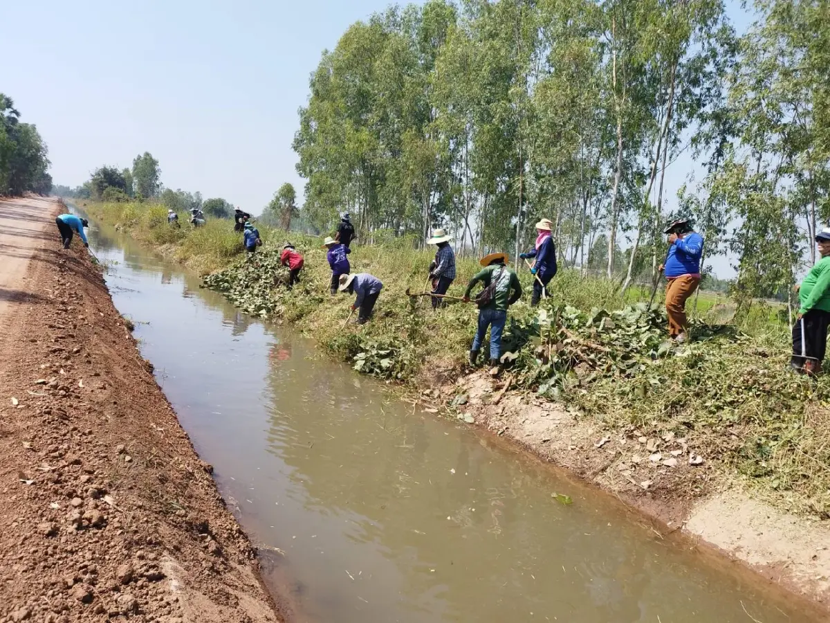 ทะลุเป้า กรมชลฯ จ้างแรงงานช่วยเกษตรกรปี 68 สร้างรายได้เสริมหน้าแล้ง