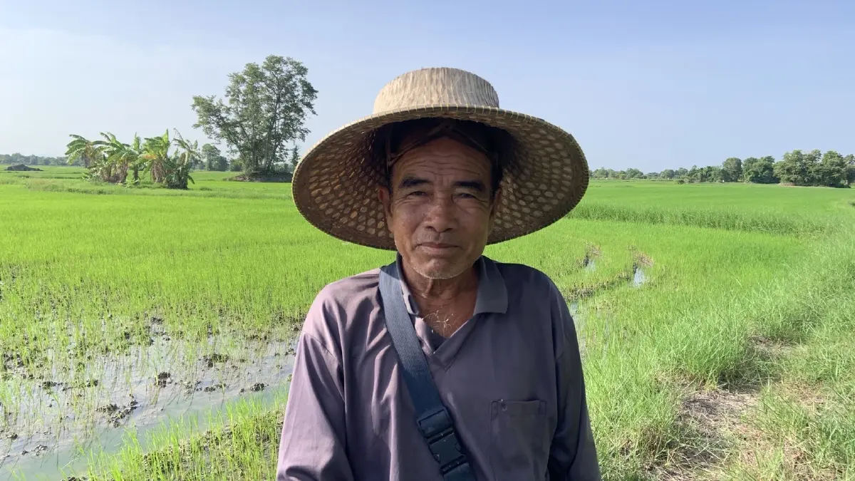 เรื่องร้ายร้าวของชาวนาจาก 'กระดูกสันหลัง' สู่ ‘เนื้อสัน’ ของชาติ