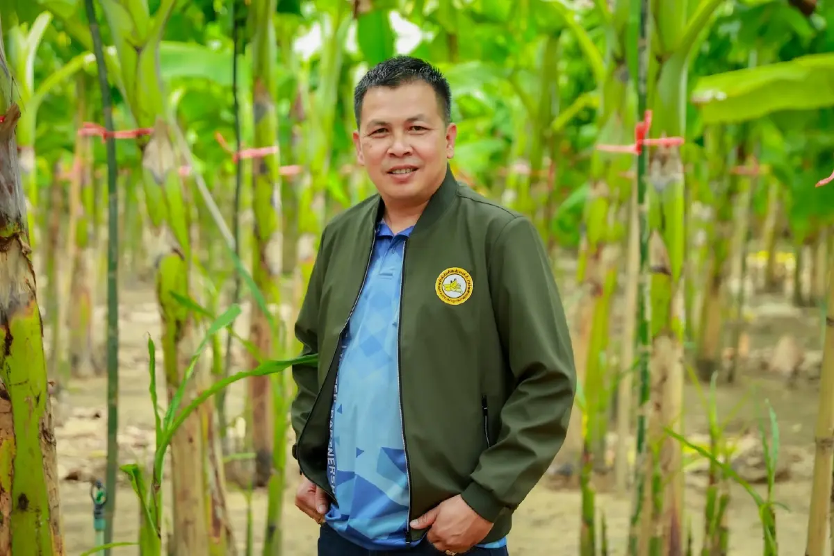 เปิดเคล็ดลับ เอ็น แอนด์ เอ็น ฟรุทส์ ส่งกล้วยหอมเข้าเซเว่นฯ 90,000 ลูกต่อวัน