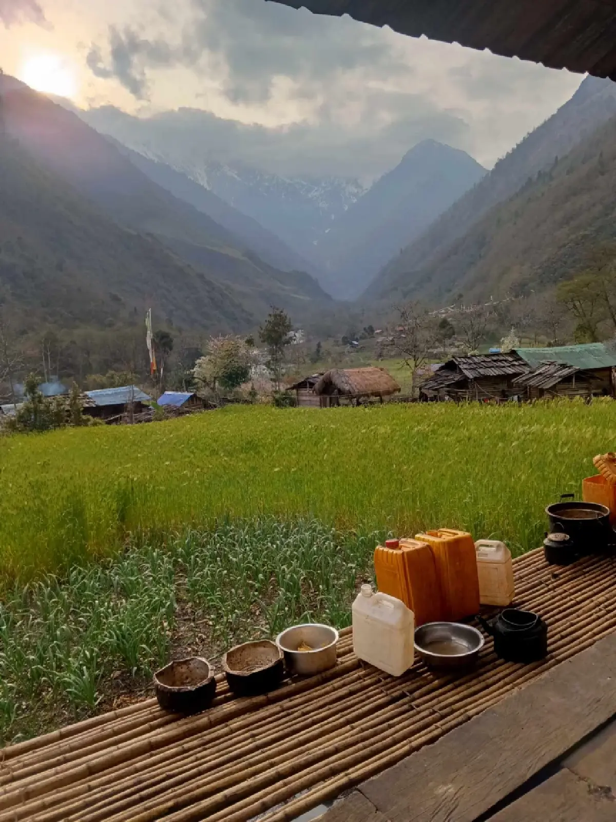 พื้นที่เกษตรปีก่อน ซึ่งไม่ได้รับความเสียหายจากน้ำท่วมเหมือนปีนี้