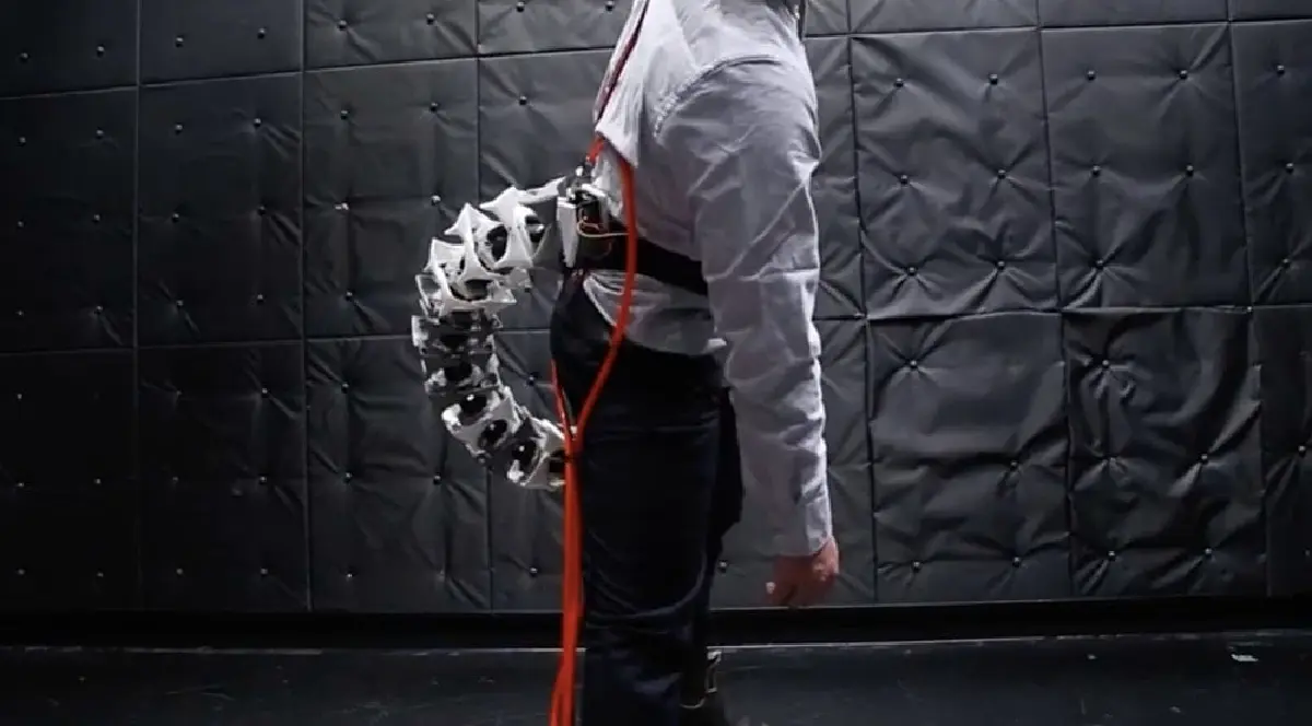 มุมใกล้ที่เห็นรายละเอียดของโครงสร้างภายในหาง เช่น “vertebrae” ซึ่งเชื่อมต่อกันอย่างยืดหยุ่น