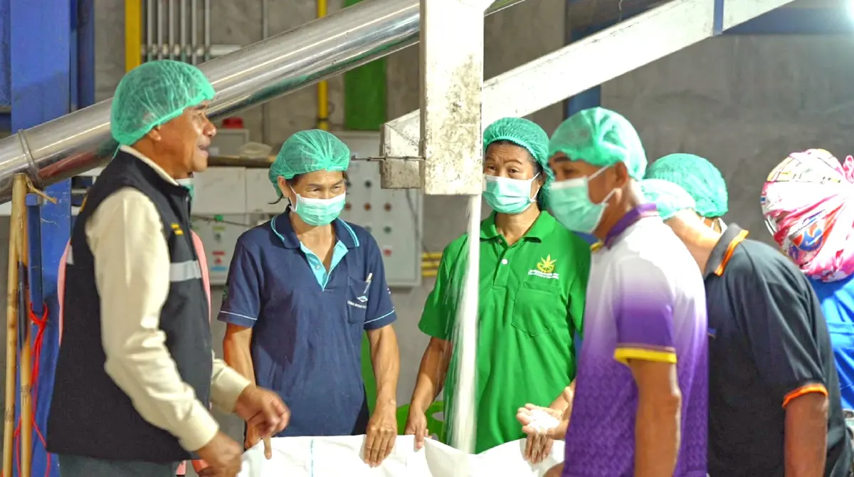 กรมการข้าว ถอดรหัสความสำเร็จ “แปลงใหญ่”ต่อยอดข้าวมูลค่าสูง