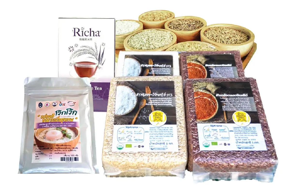 กรมการข้าว ถอดรหัสความสำเร็จ “แปลงใหญ่”ต่อยอดข้าวมูลค่าสูง