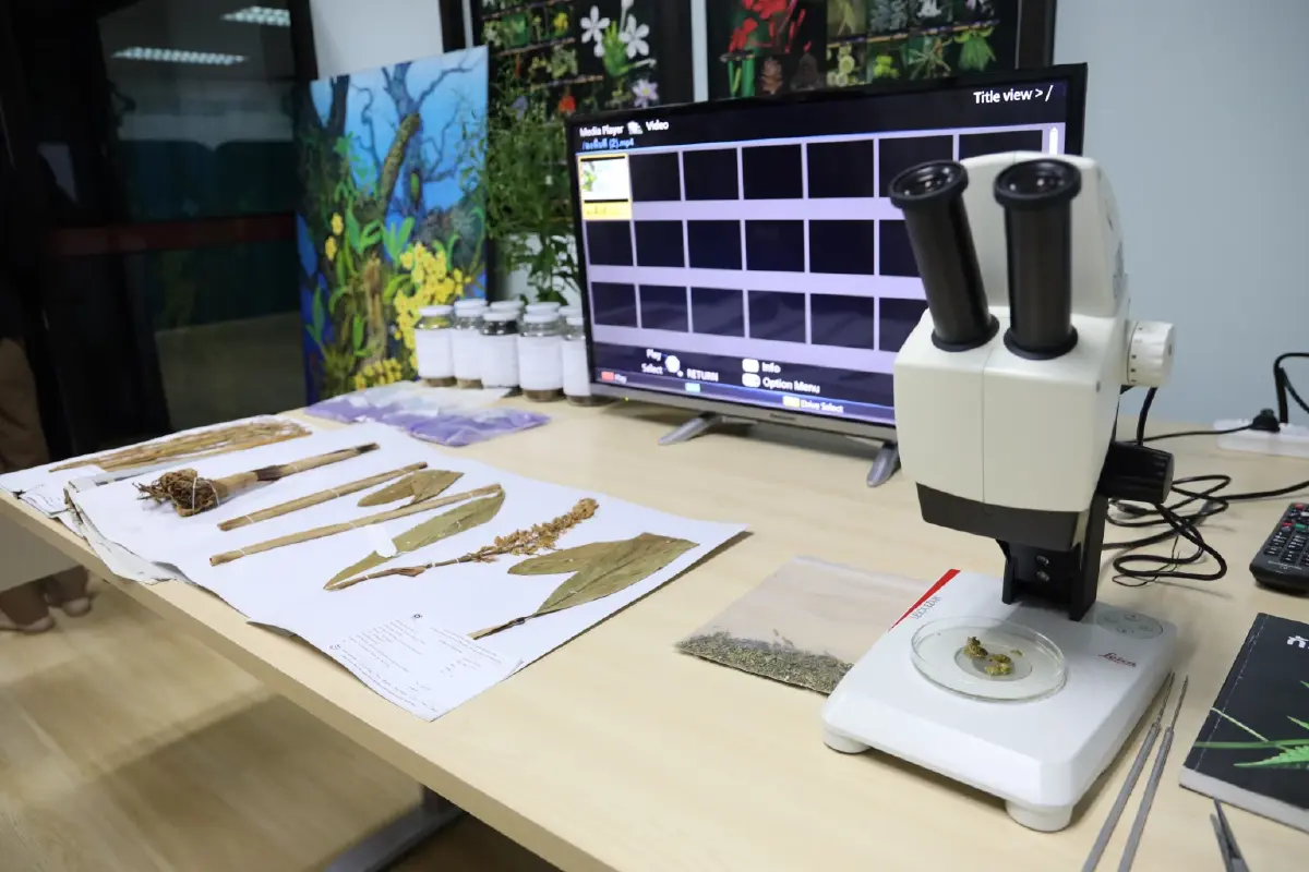 เปิดตัว 'สถาบันวิจัยการแพทย์แผนไทยและการแพทย์ทางเลือก' สร้างซอฟต์พาวเวอร์เศรษฐกิจสุขภาพ