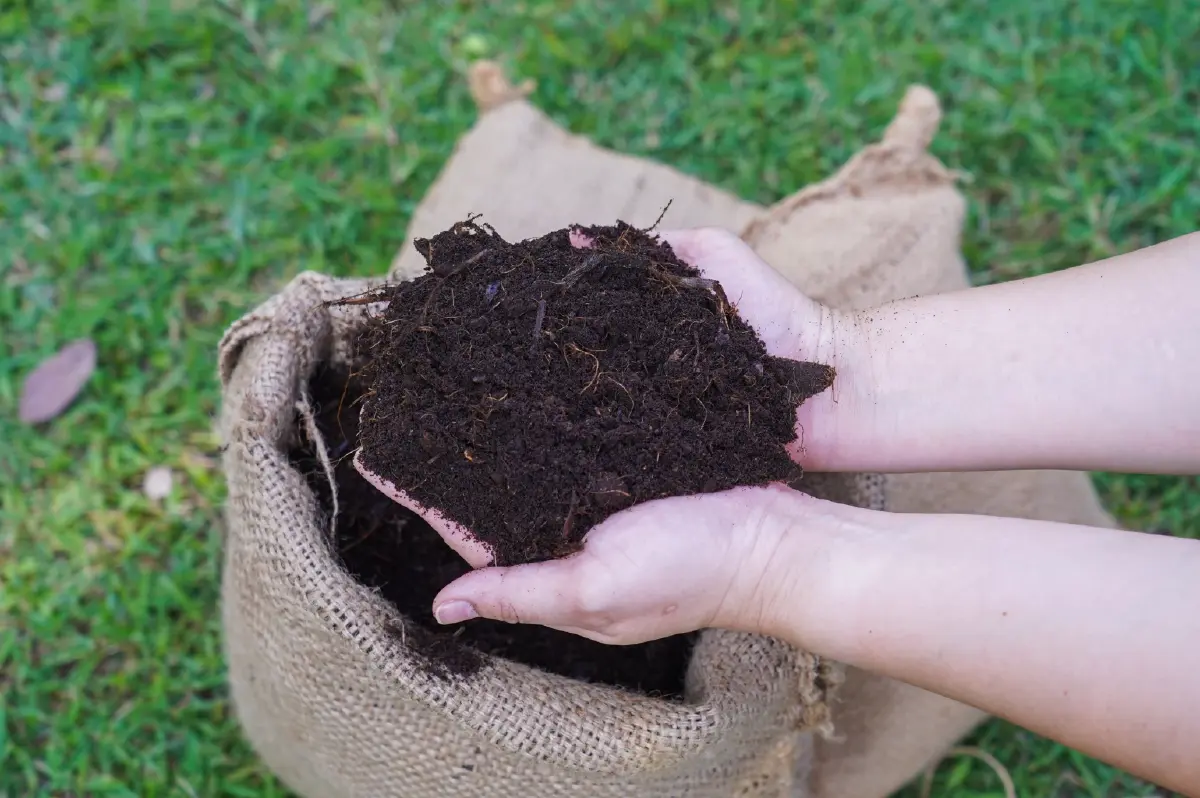 เปลี่ยน "กาก" ให้เป็น "แก่น" ไอคอนสยาม ส่งกากกาแฟ 2.5 ตันให้ กทม.