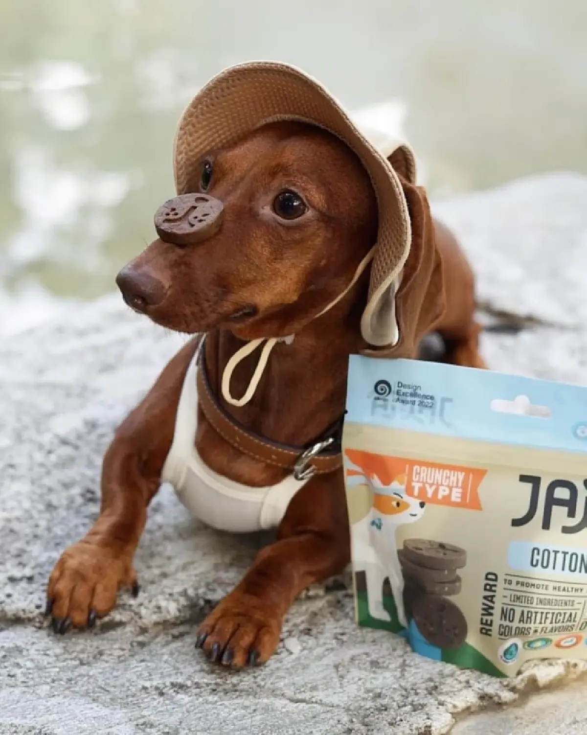 พลังเล็กๆ ของ SE ไทย ใช้วิทยาศาสตร์สร้างความยั่งยืนให้โลก