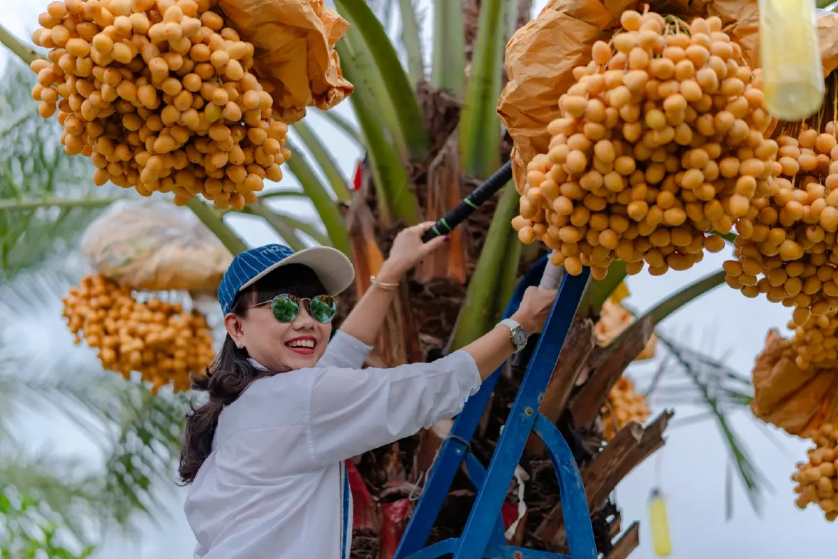 ย้อนรอยความสำเร็จ  "Thai Craft Destination"  ปลุกเศรษฐกิจชุมชน-ท่องเที่ยวยั่งยืน