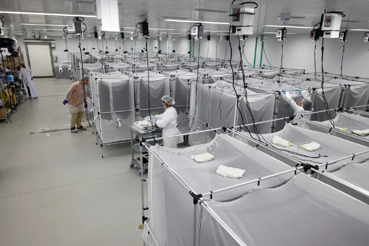 บราซิลเปิด “โรงงานซูเปอร์ยุง” สกัดไข้เลือดออก ปกป้อง 140 ล้านคน