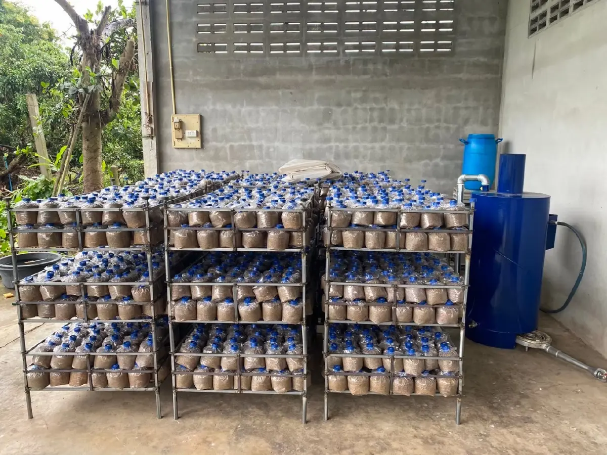 ยกระดับ“ธุรกิจเพาะเห็ดโคนน้อย” สร้างมูลค่าพืชพื้นถิ่น กระจายรายได้สู่ชุมชน