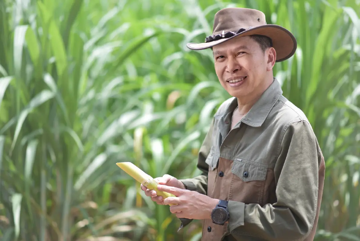 “มิตรผล โอเอซิส” พลิกวิกฤตน้ำด้วย “โอเอซิสเพื่อการเกษตร”