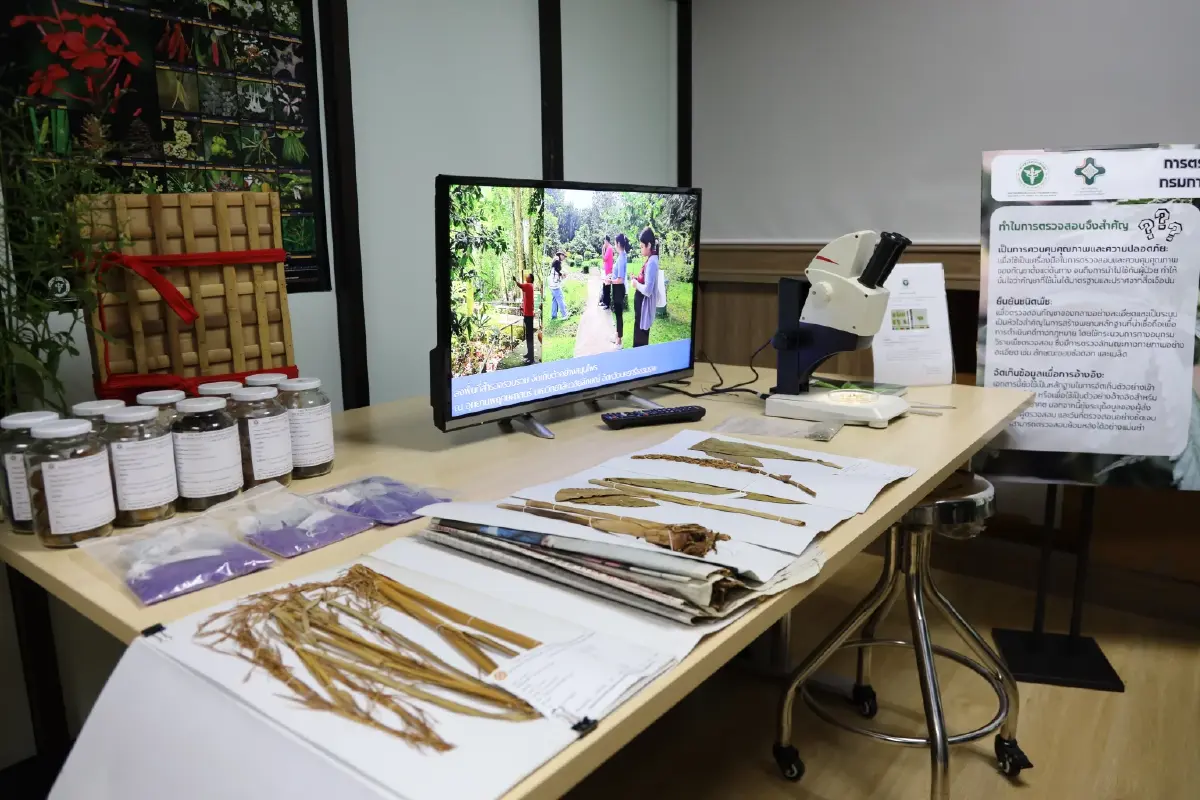 เปิดตัว 'สถาบันวิจัยการแพทย์แผนไทยและการแพทย์ทางเลือก' สร้างซอฟต์พาวเวอร์เศรษฐกิจสุขภาพ