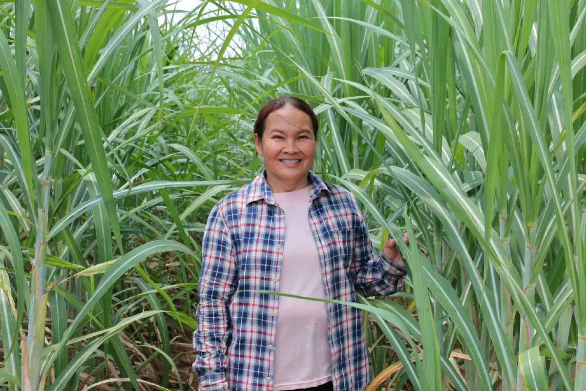 “มิตรผล โอเอซิส” พลิกวิกฤตน้ำด้วย “โอเอซิสเพื่อการเกษตร”