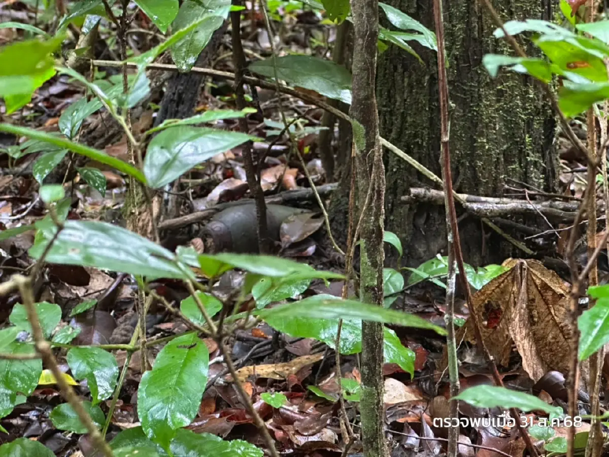 &quot;ทหารกัมพูชา&quot; ลอบวาง &quot;กับระเบิด&quot; ใกล้ปราสาทตาควาย  ละเมิดข้อตกลง