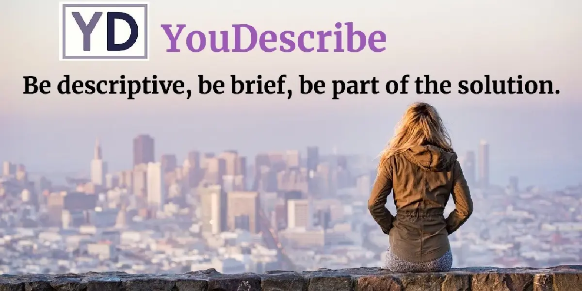 YouDescribe  สู่อนาคตในการดูหนังและคลิปวีดีโอของคนตาบอด