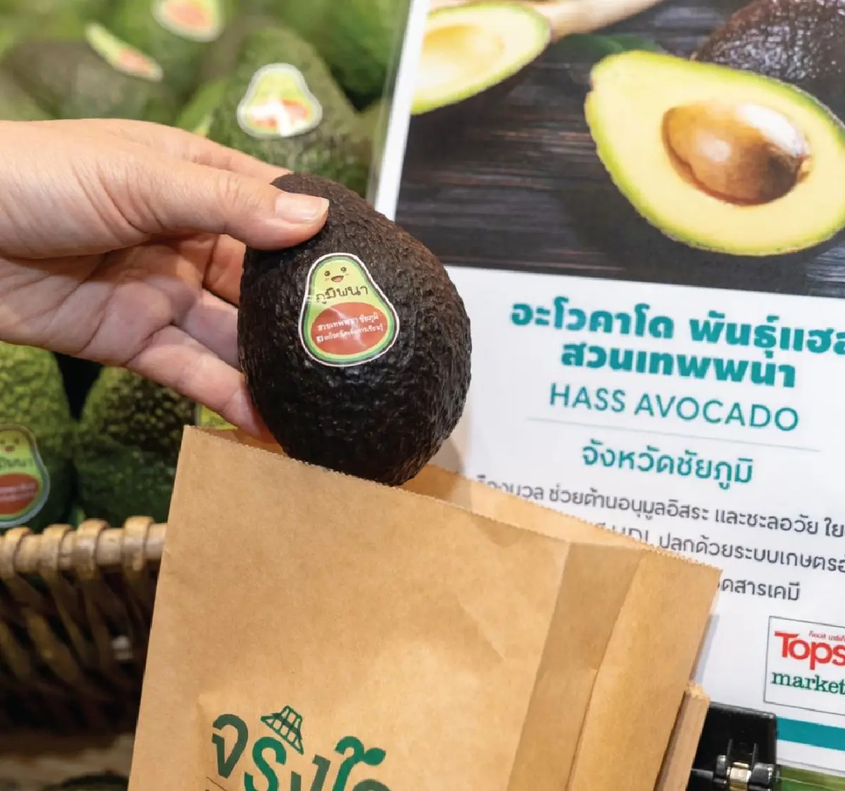 CRC ชูจุดยืน “Retail and Wholesale For All” ขับเคลื่อนองค์กรสู่ความยั่งยืน 7 มิติ