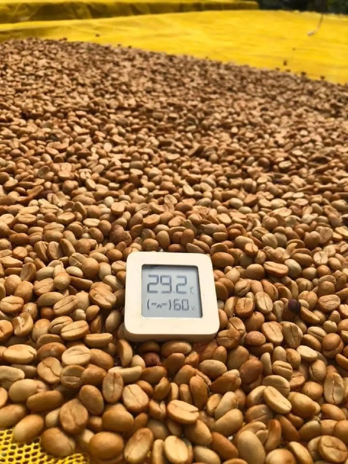 การควบคุมความชื้นคือหนึ่งในขั้นตอนสำคัญ