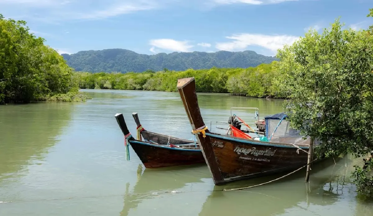 สำรวจแนวคิด Made by Krabi เมื่อเมืองและธรรมชาติเรียนรู้จะเติบโตไปด้วยกัน