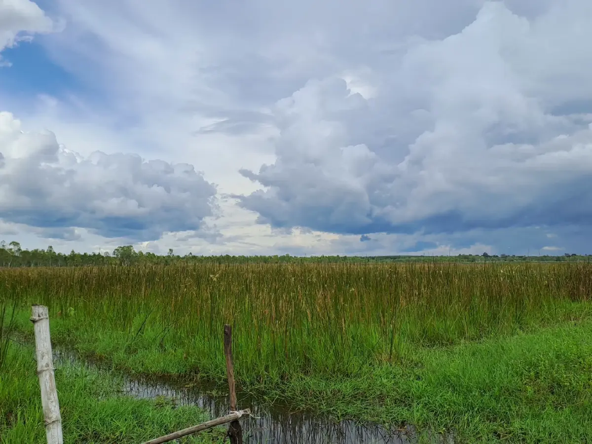 “กกเหล่าพัฒนา” สินค้า GI ใหม่นครพนม จากเสื่อพื้นบ้าน สู่ของขวัญผู้นำโลก