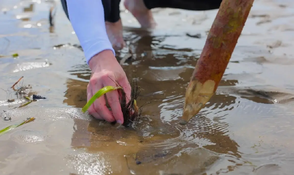 สำรวจแนวคิด Made by Krabi เมื่อเมืองและธรรมชาติเรียนรู้จะเติบโตไปด้วยกัน