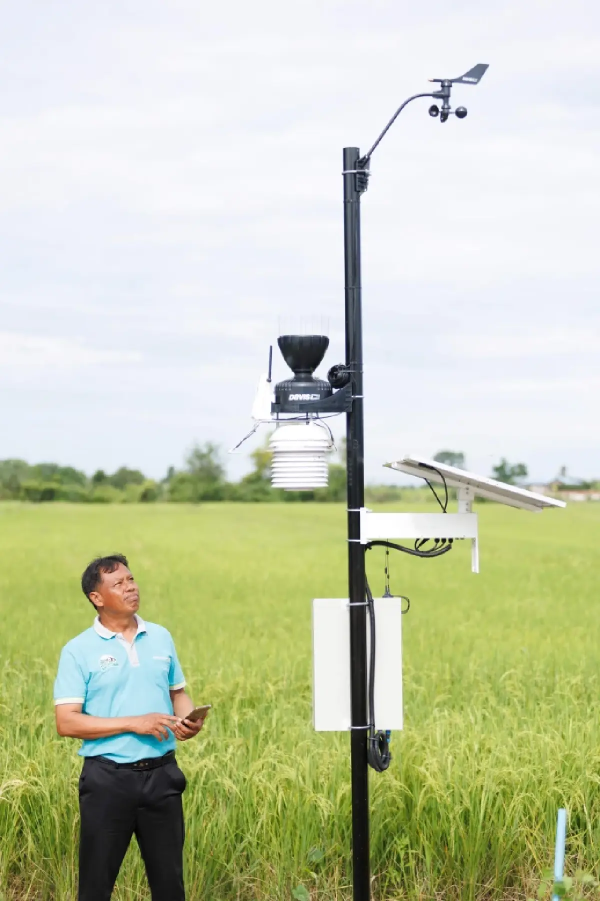 บ้านพระแก้ว ชัยนาท ปั้น Smart Farming ผลิตข้าวคาร์บอนต่ำครบวงจร