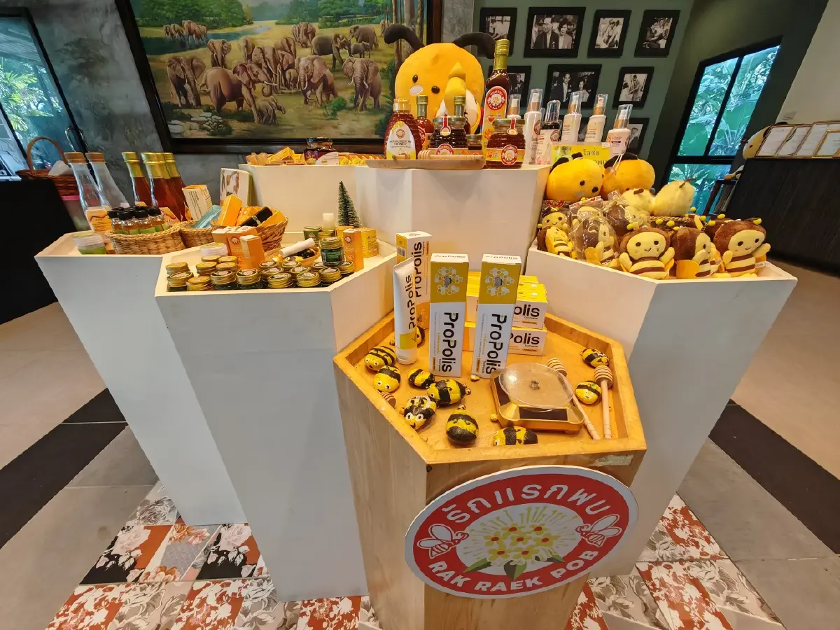 “บ้านไทรห้อง” ชุมชนเลี้ยงผึ้งโพรงไทยธรรมชาติ สร้างรายได้ สู่ชุมชนยั่งยืน