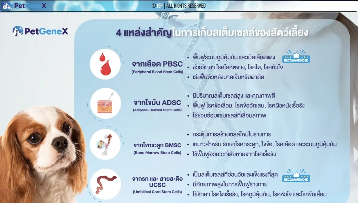 PetGeneX ร่วมกับ NIA เปิดตัวธนาคารสเต็มเซลล์สัตว์เลี้ยงแห่งแรกในไทย