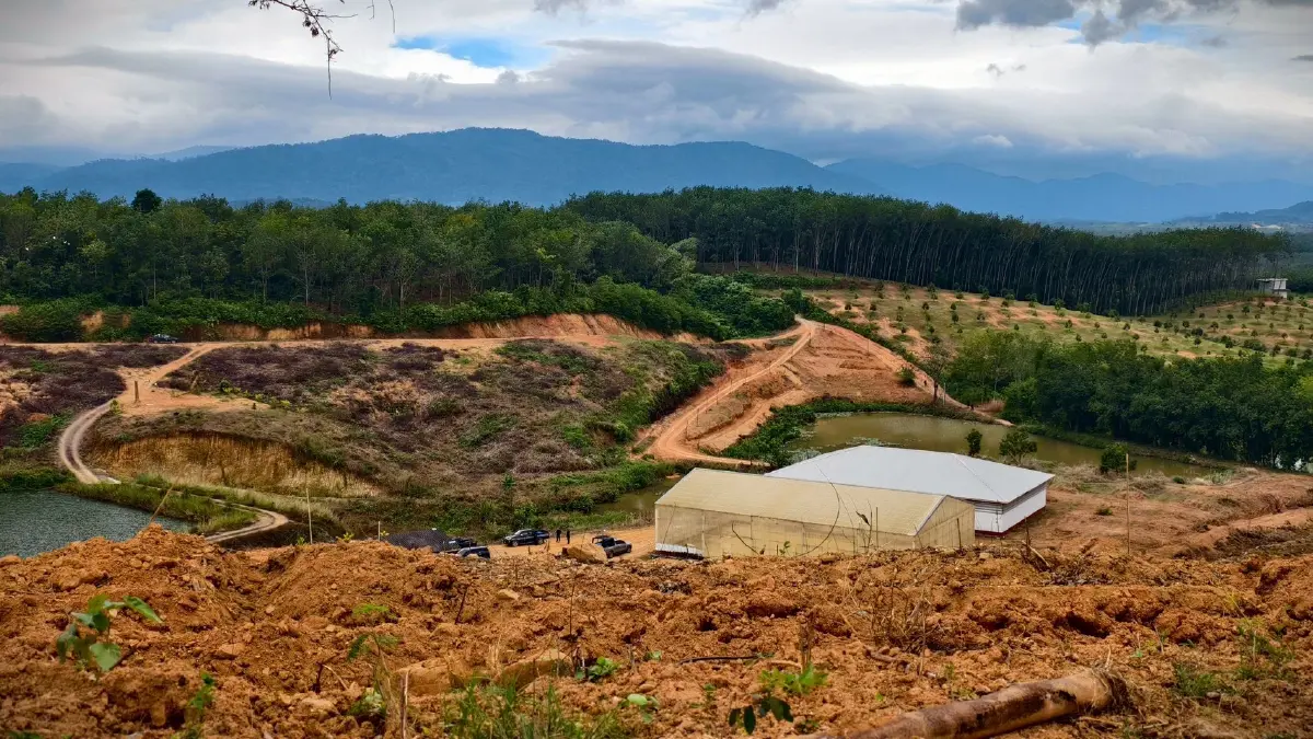 ยึด! พื้นที่ป่าสงวนแห่งชาติ &quot;ป่าเขาสมิง&quot; 100 ไร่ คืนจากนายทุน