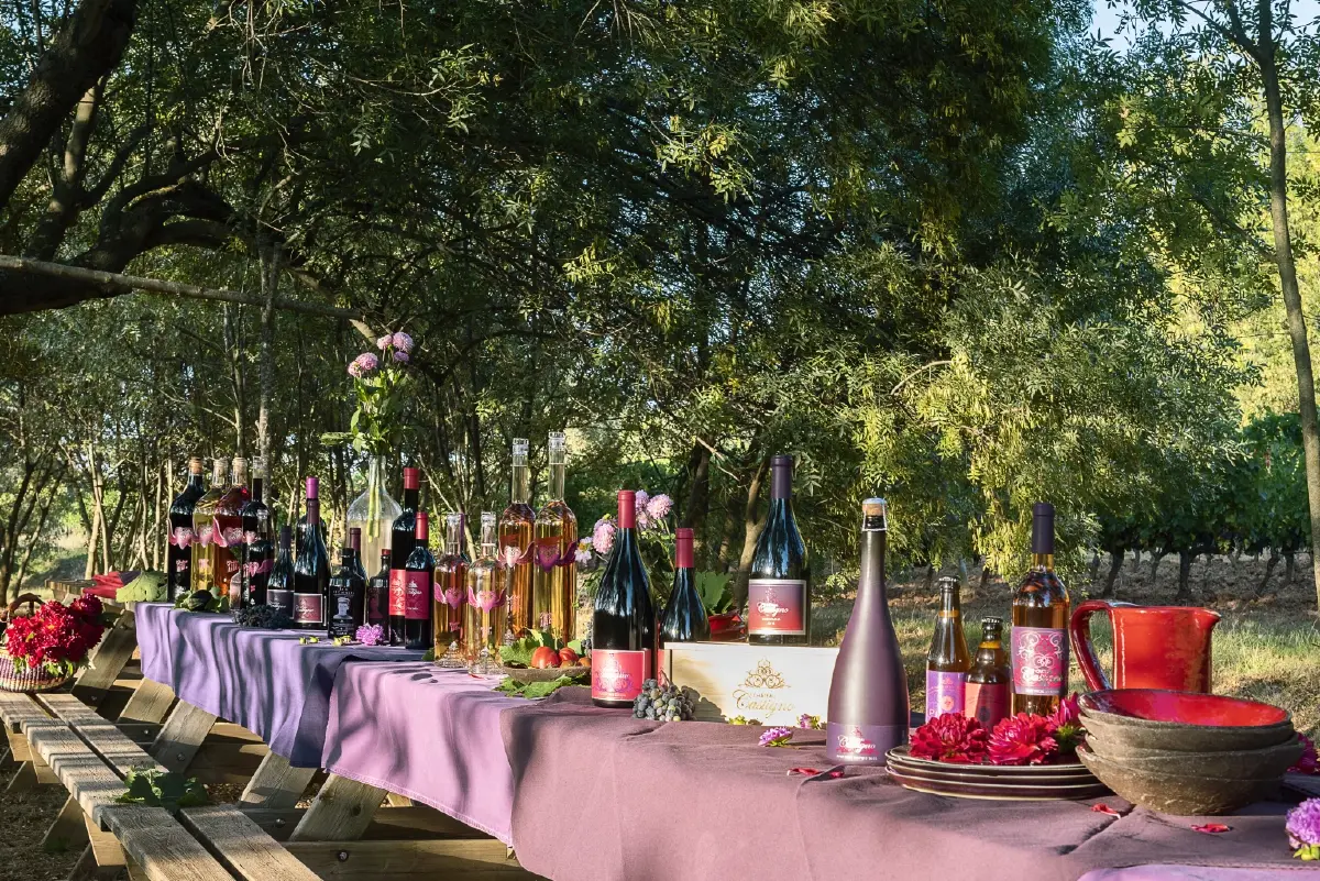 โมเดลธุรกิจไวน์ Castigno : ขายความฝันที่มากกว่า"ไวน์"ชั้นดี