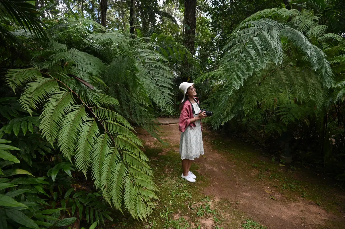 รำลึกพระเมตตา ณ "ภูพิงคราชนิเวศน์" ทิพย์วิมานแห่งการทรงงาน