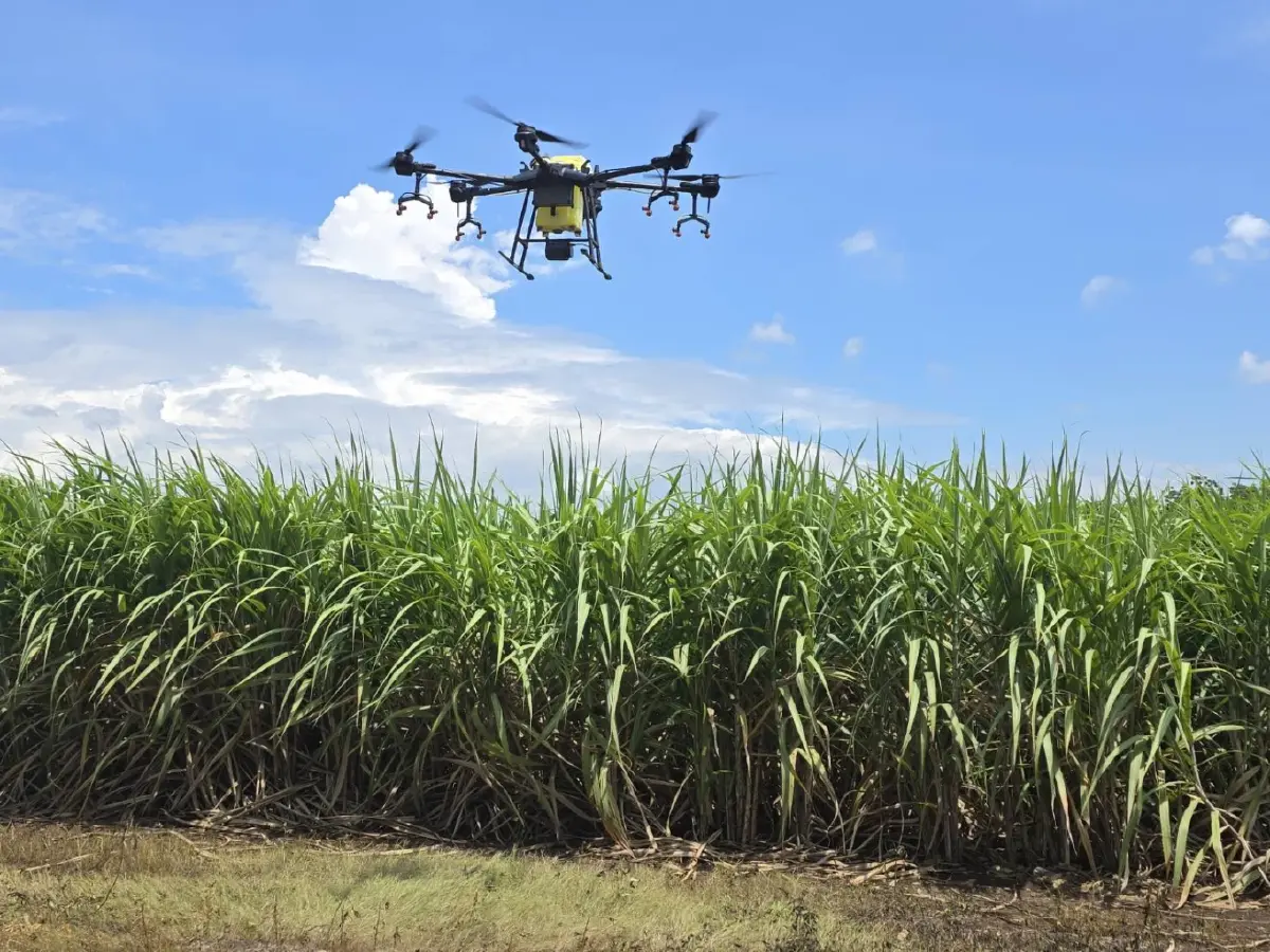 พลิกดินสู่ดาว! ปั้น "ทายาทชาวไร่อ้อย 100 ล้าน" สร้างนักธุรกิจเกษตรรุ่นใหม่