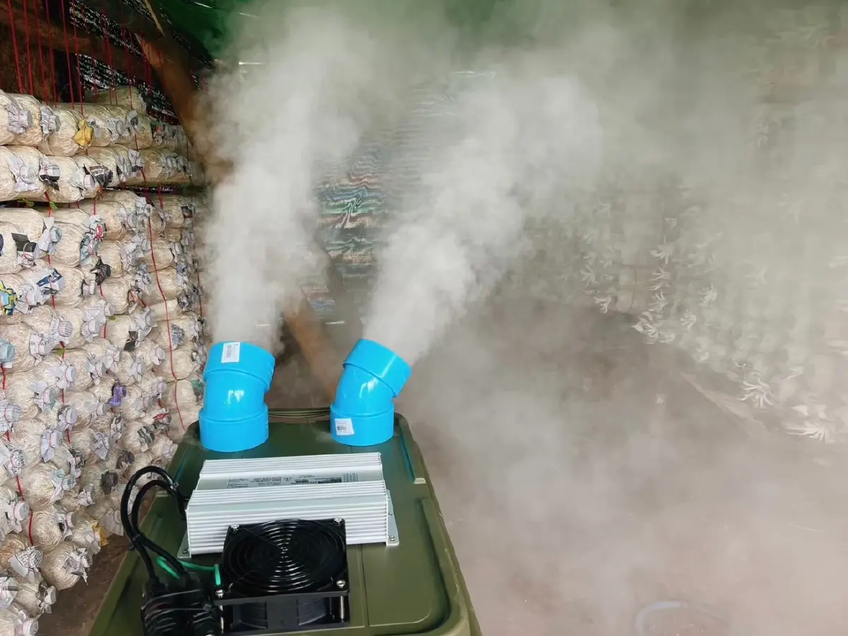 นวัตกรรมเพิ่มความชื้น จากโอ่งมังกร เพิ่มกำลังผลิตเห็ดหน้าร้อน