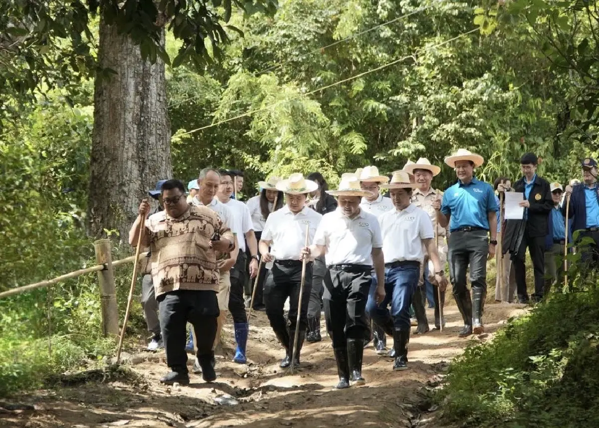 เครือซีพีต่อยอด “แม่แจ่มโมเดลพลัส” ฟื้นฟูป่าต้นน้ำ สร้างรายได้ชุมชนยั่งยืน