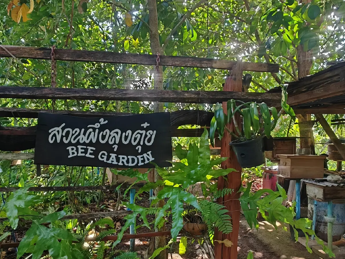 “บ้านไทรห้อง” ชุมชนเลี้ยงผึ้งโพรงไทยธรรมชาติ สร้างรายได้ สู่ชุมชนยั่งยืน