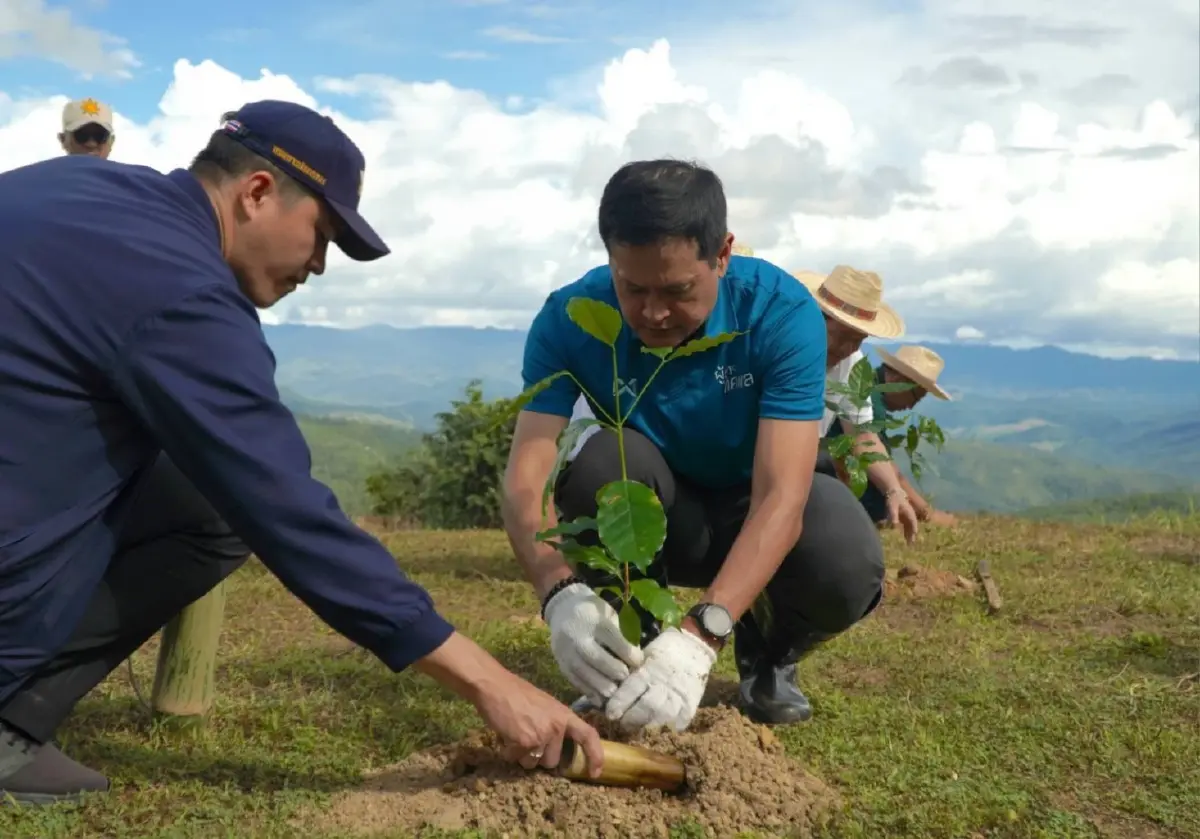 เครือซีพีต่อยอด “แม่แจ่มโมเดลพลัส” ฟื้นฟูป่าต้นน้ำ สร้างรายได้ชุมชนยั่งยืน