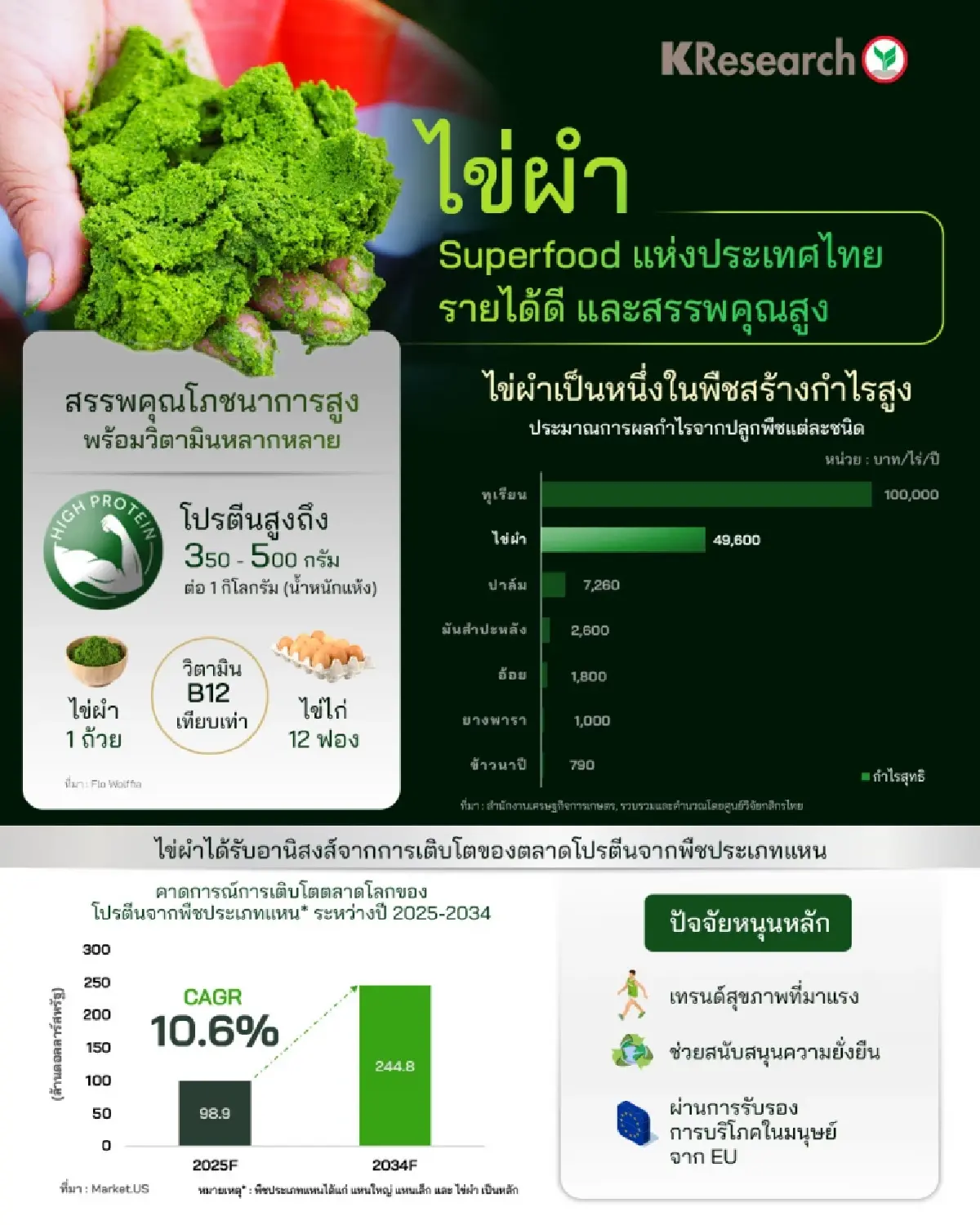 ไข่ผำ รับกระแสโปรตีนจากพืช คาดปี 68 มูลค่าตลาดโลกร้อยล้านดอลลาร์