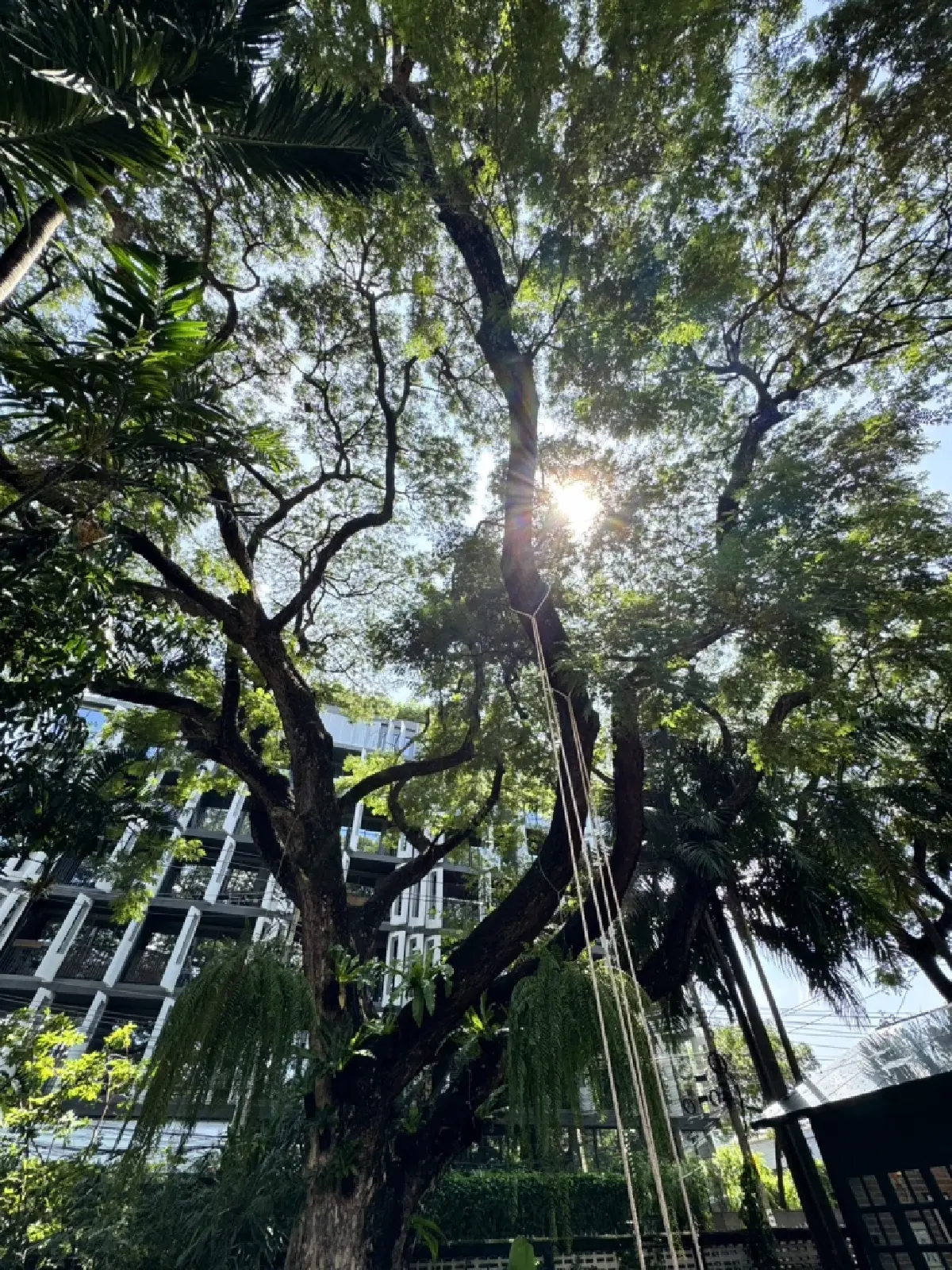 The House 94  บ้านความทรงจำสไตล์ Tropical Modern x อาหารไร้พรมแดน