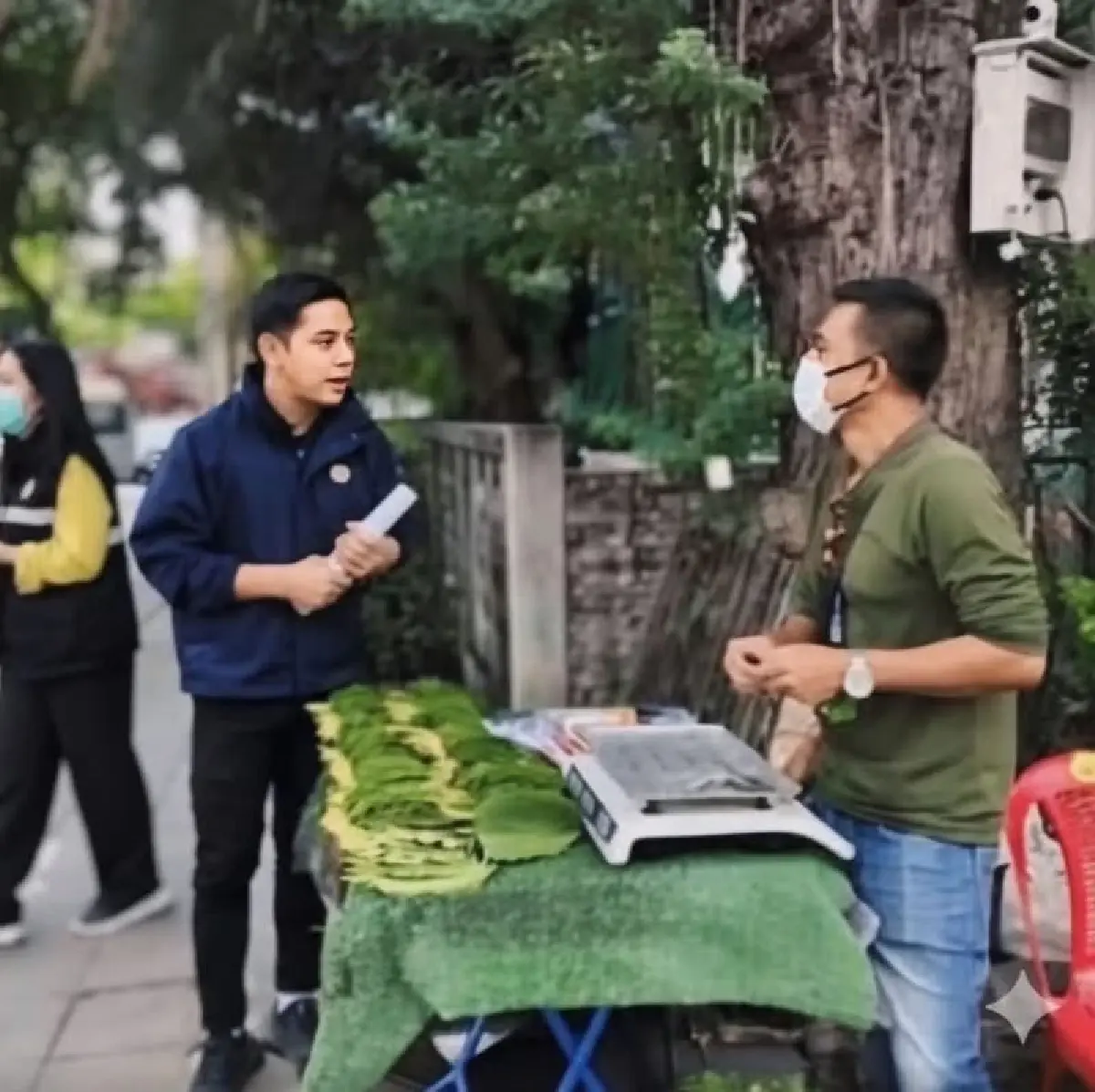 คุมเข้มขายกระท่อมทั่วประเทศ ห้ามเร่ขาย-ตั้งแผงลอยใกล้โรงเรียน