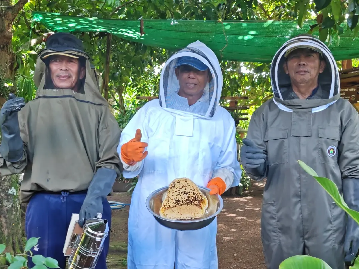“บ้านไทรห้อง” ชุมชนเลี้ยงผึ้งโพรงไทยธรรมชาติ สร้างรายได้ สู่ชุมชนยั่งยืน