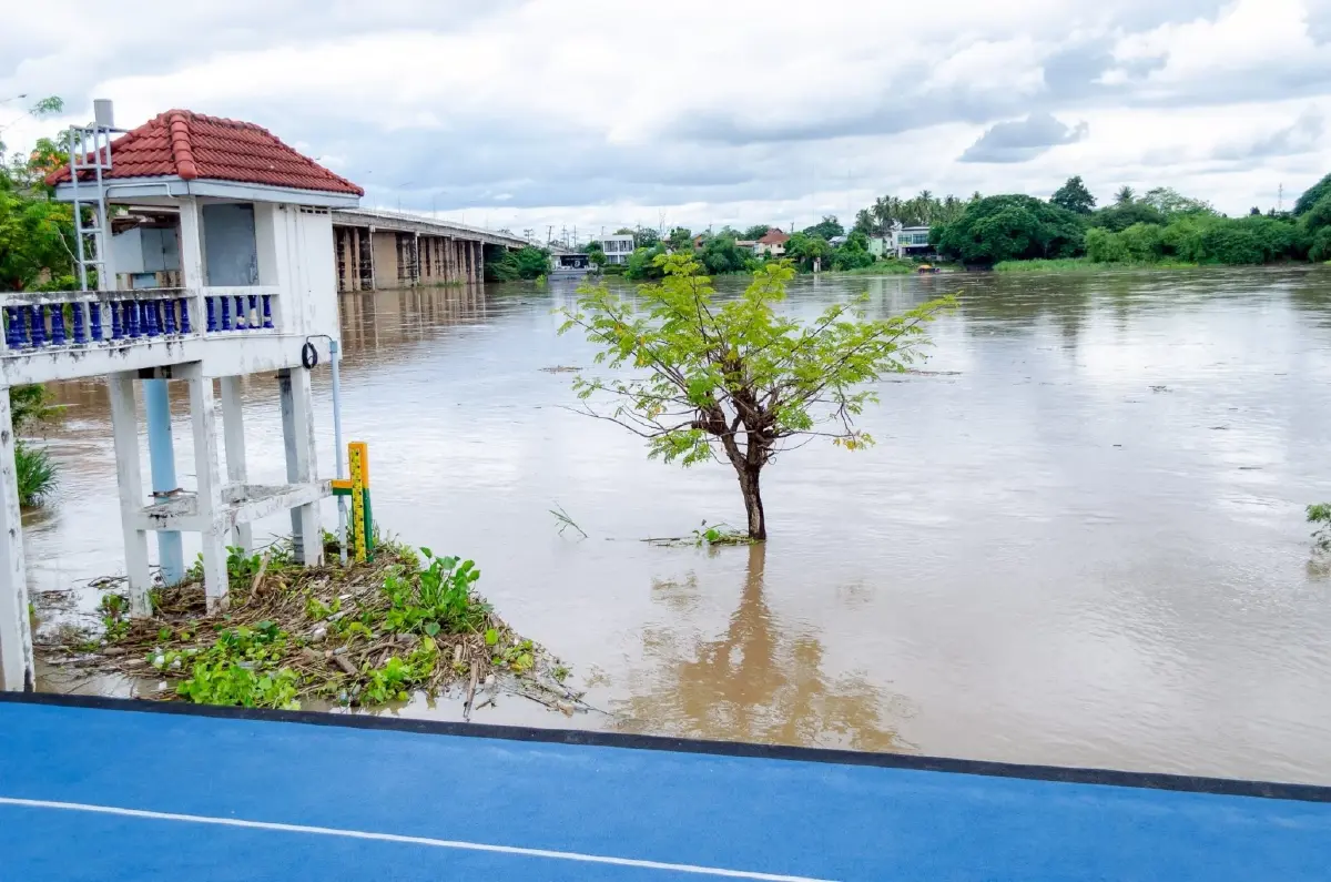 น้ำเหนือชะลอทุกสถานี เร่งผลักดันน้ำค้างทุ่งลงทะเลทุกมิติ