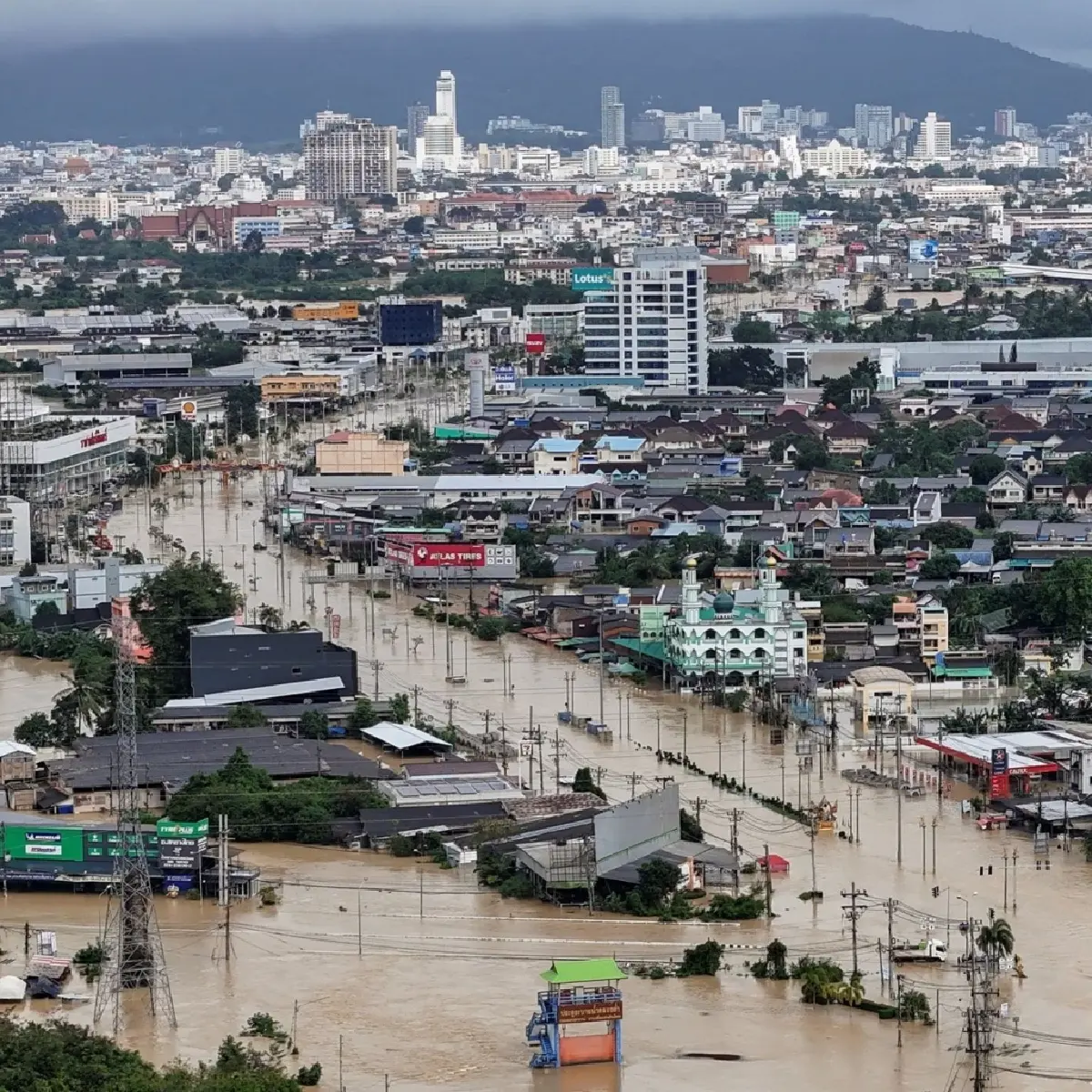 "ธารา"ชำแหละมหาอุทกภัยใต้ ชี้โลกเดือดผสมโรงระบบรัฐอ่อนแอ