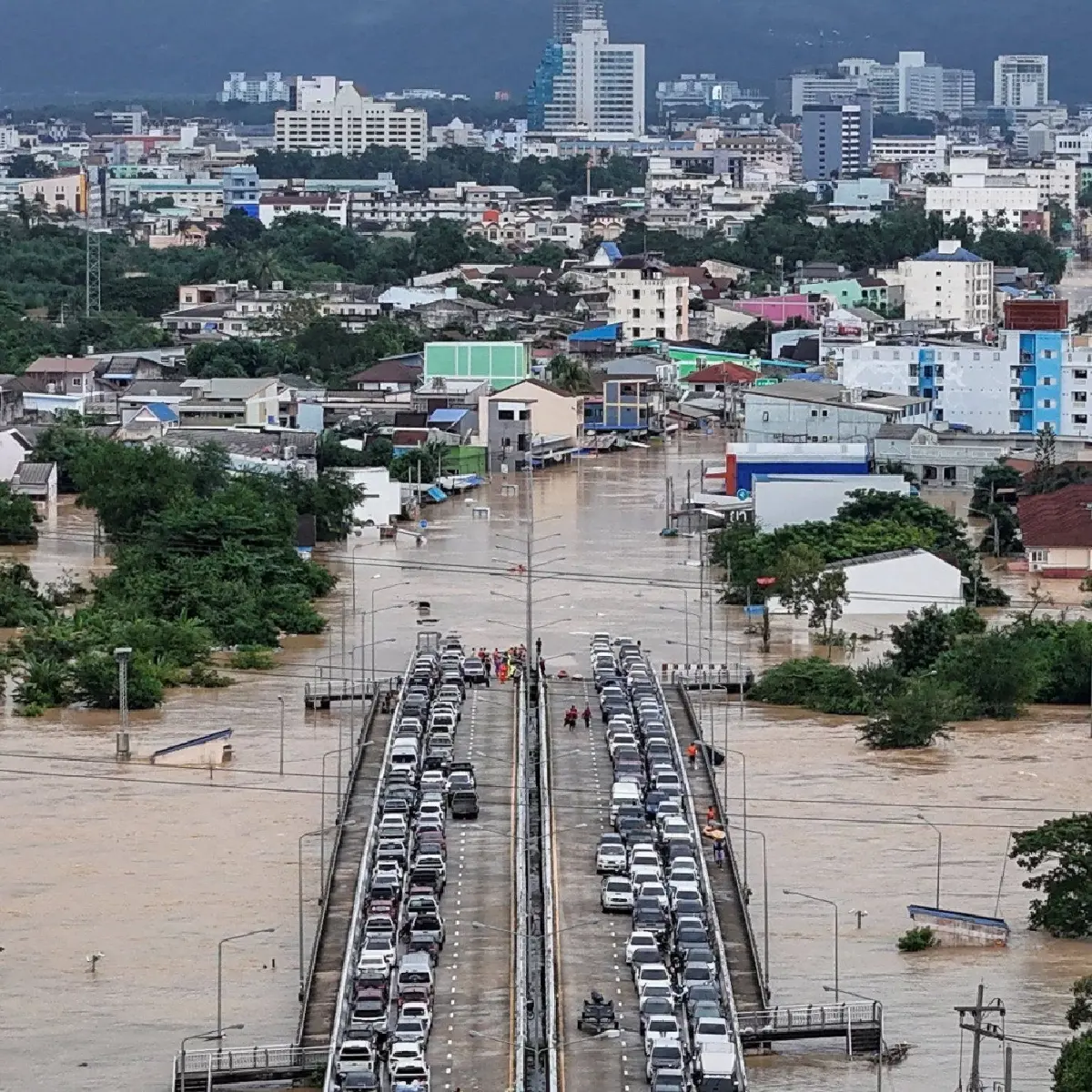 "ธารา"ชำแหละมหาอุทกภัยใต้ ชี้โลกเดือดผสมโรงระบบรัฐอ่อนแอ