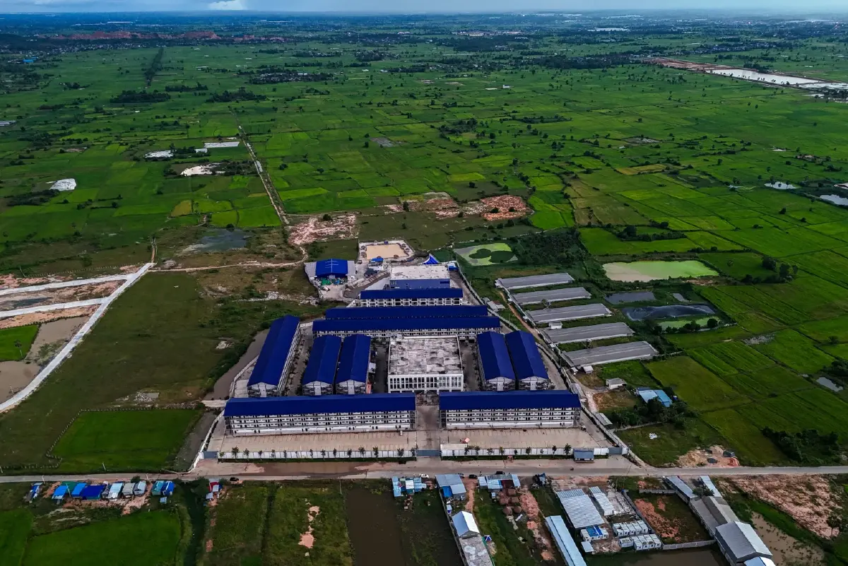 "แพลตฟอร์มดิจิทัลในมือทุนเทา" โรงงานสแกมเมอร์ สูบเลือดคนไทย