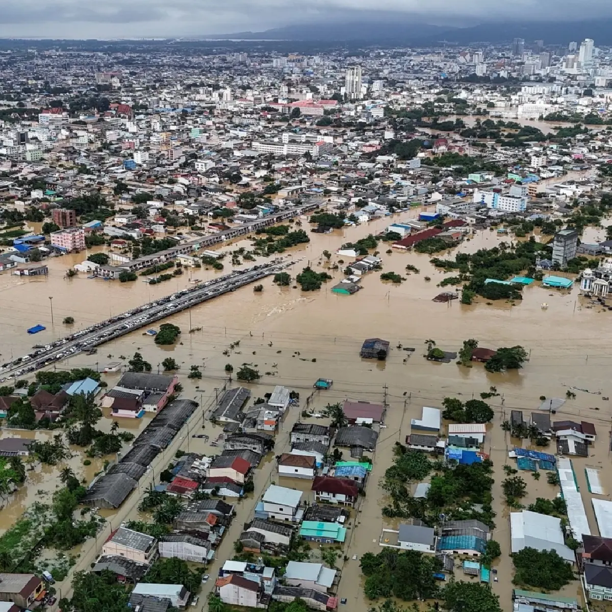 "ธารา"ชำแหละมหาอุทกภัยใต้ ชี้โลกเดือดผสมโรงระบบรัฐอ่อนแอ