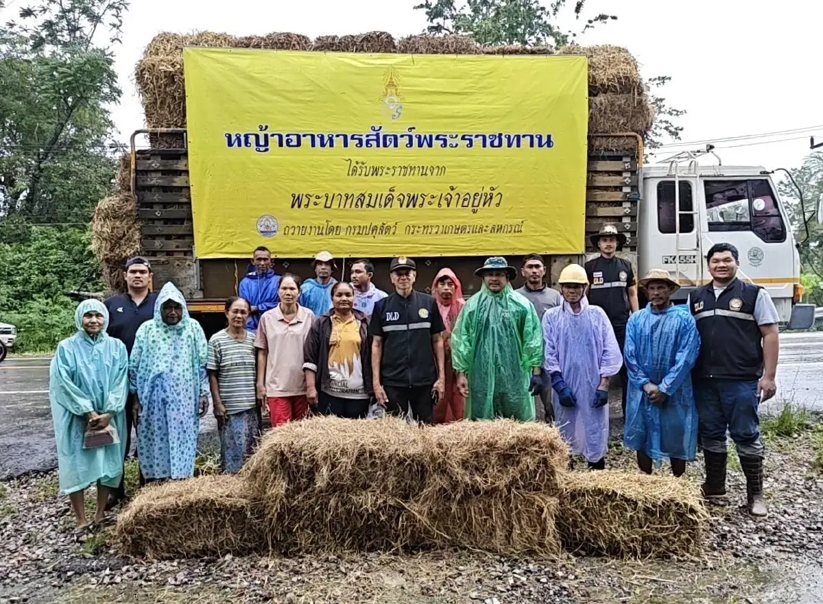 “ธรรมนัส” สั่งกรมปศุสัตว์ส่งหญ้าอาหารสัตว์พระราชทาน ช่วยน้ำท่วมใต้
