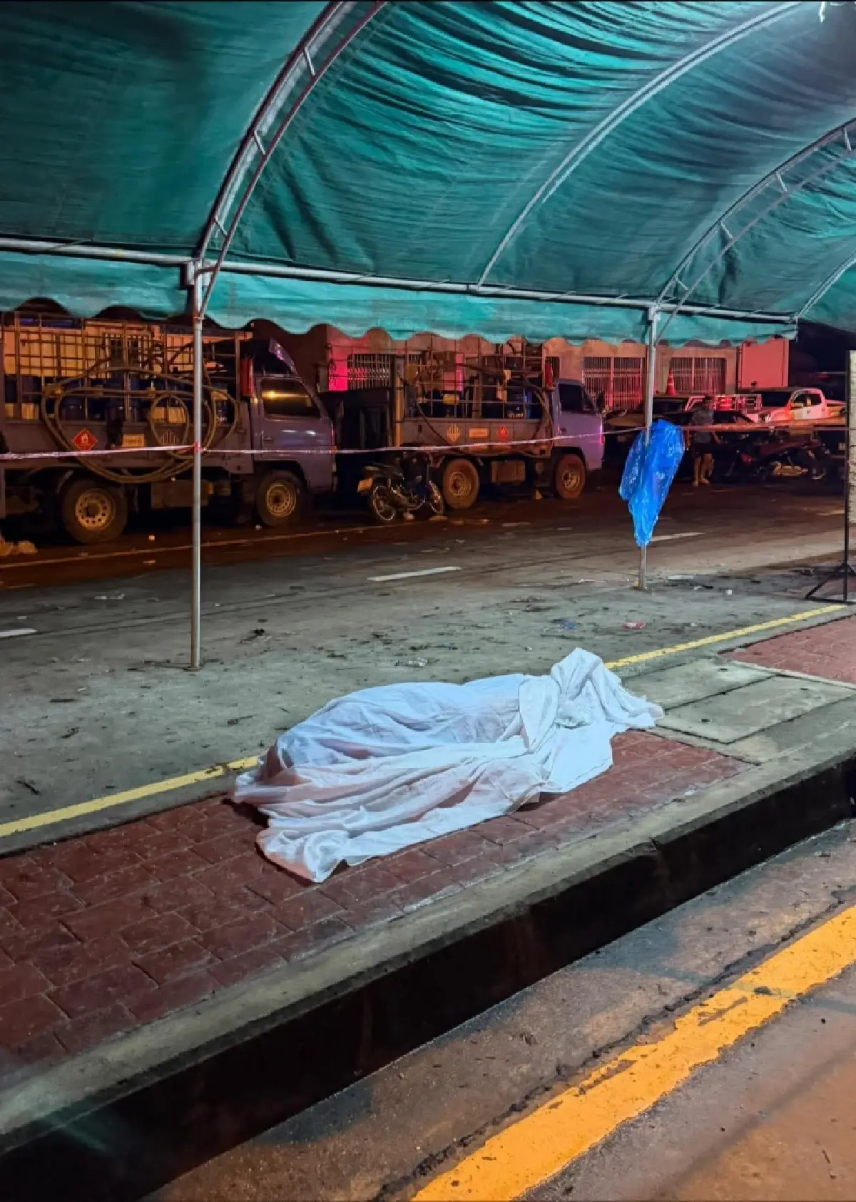 ขอบคุณภาพ : สิงโต ศักดิ์สิทธิ์ ขาวทอง