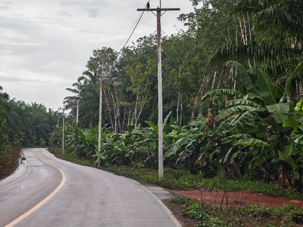 “โบกาฉิ” พลิกดินเสื่อมสู่เกษตรอินทรีย์ เปลี่ยนวิถีชุมชนจังหวัดกระบี่