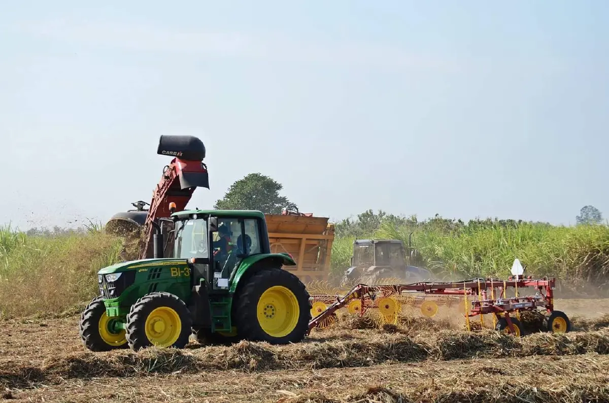 บอร์ดกอน. เคาะราคาอ้อยขั้นต้น ปี 68/69 ราคาเดียวทั่วไทย ที่ 890 บาท/ตัน