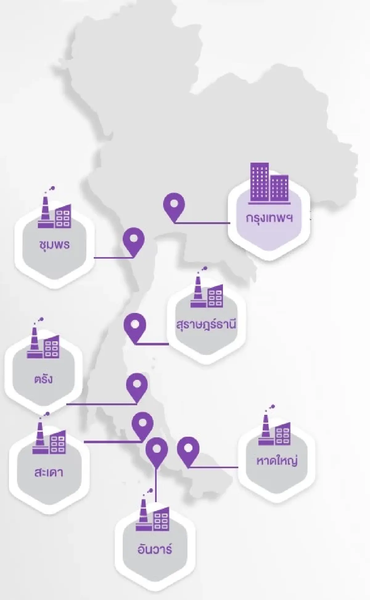 ภาพ sritranggloves