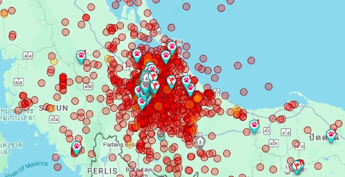 ภาพจาก https://jitasa.care/